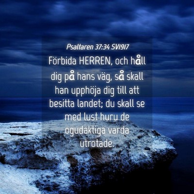 Picture 04 - Psaltaren 37:34 SV1917 - Förbida HERREN, och håll dig på hans väg, så - Bible Verse Picture