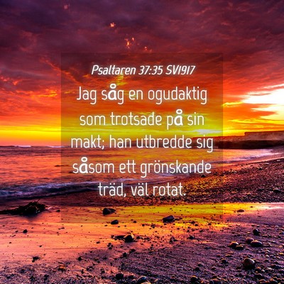 Picture 04 - Psaltaren 37:35 SV1917 - Jag såg en ogudaktig som trotsade på sin makt; - Bible Verse Picture
