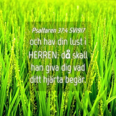 Picture 04 - Psaltaren 37:4 SV1917 - och hav din lust i HERREN: då skall han giva dig - Bible Verse Picture