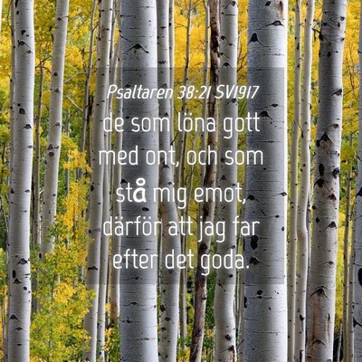 Picture 04 - Psaltaren 38:21 SV1917 - de som löna gott med ont, och som stå mig emot, - Bible Verse Picture