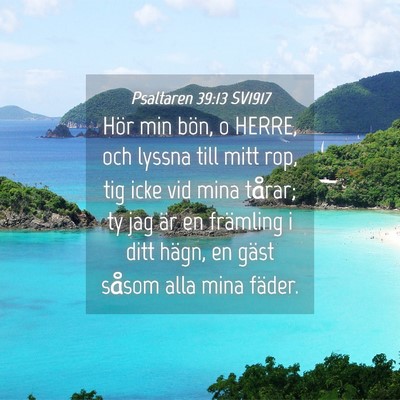 Picture 04 - Psaltaren 39:13 SV1917 - Hör min bön, o HERRE, och lyssna till mitt rop, - Bible Verse Picture