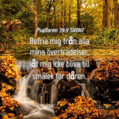 Picture 04 - Psaltaren 39:9 SV1917 - Befria mig från alla mina överträdelser, låt - Bible Verse Picture