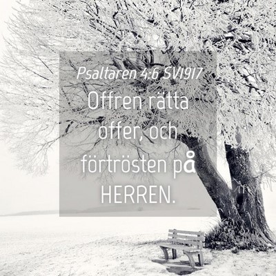 Picture 04 - Psaltaren 4:6 SV1917 - Offren rätta offer, och förtrösten på - Bible Verse Picture