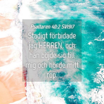 Picture 04 - Psaltaren 40:2 SV1917 - Stadigt förbidade jag HERREN, och han böjde sig - Bible Verse Picture