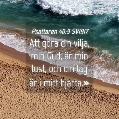 Picture 04 - Psaltaren 40:9 SV1917 - Att göra din vilja, min Gud, är min lust, och - Bible Verse Picture