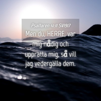 Picture 04 - Psaltaren 41:11 SV1917 - Men du, HERRE, var mig nådig och upprätta mig, - Bible Verse Picture