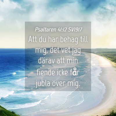 Picture 04 - Psaltaren 41:12 SV1917 - Att du har behag till mig, det vet jag därav att - Bible Verse Picture