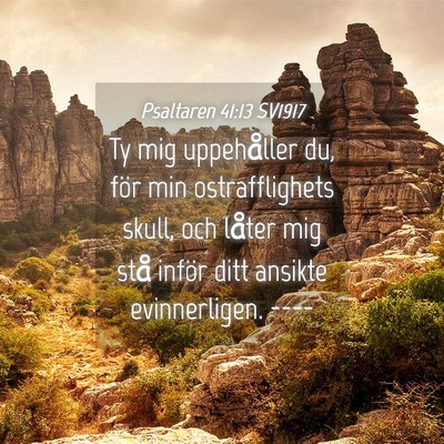 Picture 04 - Psaltaren 41:13 SV1917 - Ty mig uppehåller du, för min ostrafflighets - Bible Verse Picture
