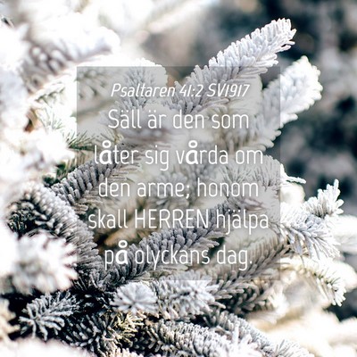 Picture 04 - Psaltaren 41:2 SV1917 - Säll är den som låter sig vårda om den arme; - Bible Verse Picture