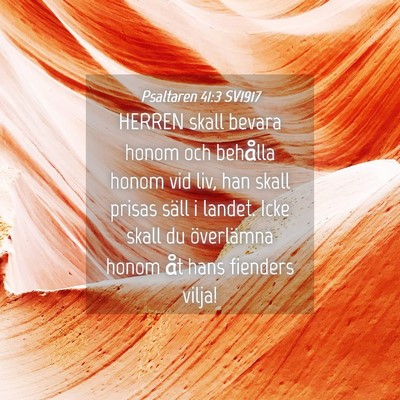 Picture 04 - Psaltaren 41:3 SV1917 - HERREN skall bevara honom och behålla honom vid - Bible Verse Picture