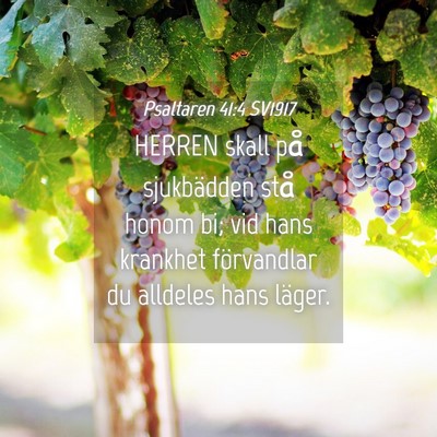 Picture 04 - Psaltaren 41:4 SV1917 - HERREN skall på sjukbädden stå honom bi; vid - Bible Verse Picture