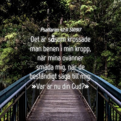 Picture 04 - Psaltaren 42:11 SV1917 - Det är såsom krossade man benen i min kropp, - Bible Verse Picture