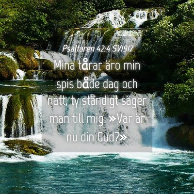 Picture 04 - Psaltaren 42:4 SV1917 - Mina tårar äro min spis både dag och natt, ty - Bible Verse Picture