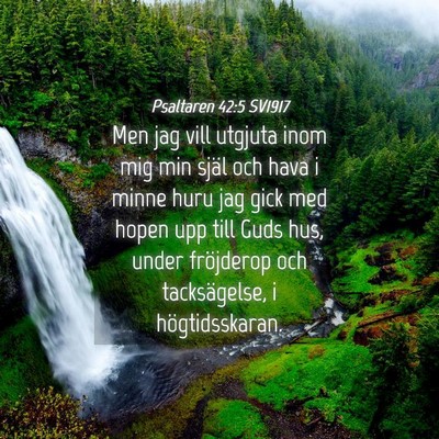 Picture 04 - Psaltaren 42:5 SV1917 - Men jag vill utgjuta inom mig min själ och hava - Bible Verse Picture