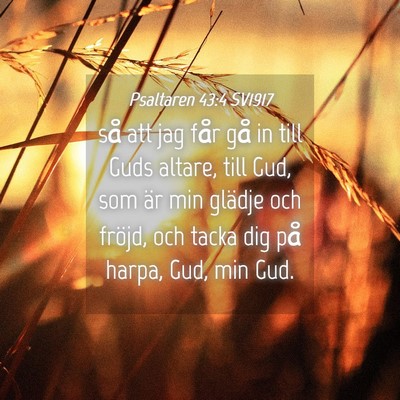 Picture 04 - Psaltaren 43:4 SV1917 - så att jag får gå in till Guds altare, till - Bible Verse Picture
