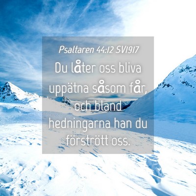 Picture 04 - Psaltaren 44:12 SV1917 - Du låter oss bliva uppätna såsom får, och - Bible Verse Picture