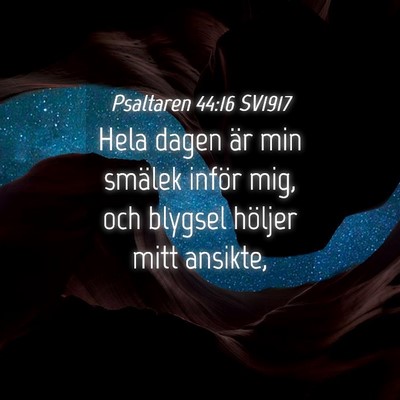 Picture 04 - Psaltaren 44:16 SV1917 - Hela dagen är min smälek inför mig, och - Bible Verse Picture