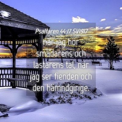 Picture 04 - Psaltaren 44:17 SV1917 - när jag hör smädarens och lastarens tal, när - Bible Verse Picture