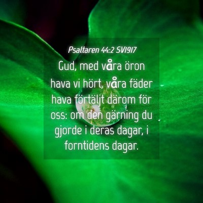 Picture 04 - Psaltaren 44:2 SV1917 - Gud, med våra öron hava vi hört, våra fäder - Bible Verse Picture