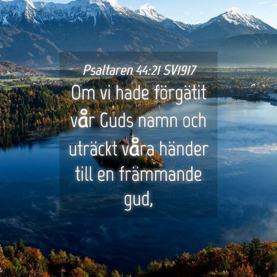 Picture 04 - Psaltaren 44:21 SV1917 - Om vi hade förgätit vår Guds namn och uträckt - Bible Verse Picture