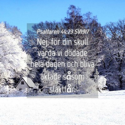 Picture 04 - Psaltaren 44:23 SV1917 - Nej, för din skull varda vi dödade hela dagen - Bible Verse Picture