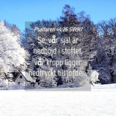 Picture 04 - Psaltaren 44:26 SV1917 - Se, vår själ är nedböjd i stoftet, vår kropp - Bible Verse Picture