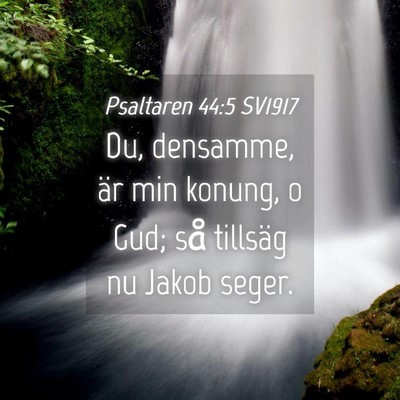 Picture 04 - Psaltaren 44:5 SV1917 - Du, densamme, är min konung, o Gud; så tillsäg - Bible Verse Picture