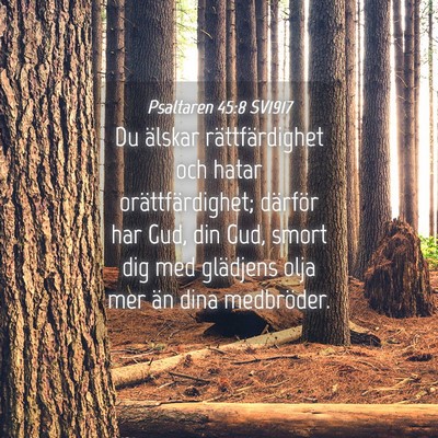 Picture 04 - Psaltaren 45:8 SV1917 - Du älskar rättfärdighet och hatar - Bible Verse Picture