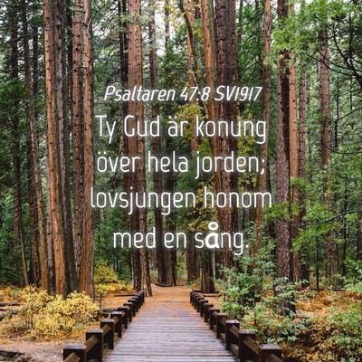 Picture 04 - Psaltaren 47:8 SV1917 - Ty Gud är konung över hela jorden; lovsjungen - Bible Verse Picture