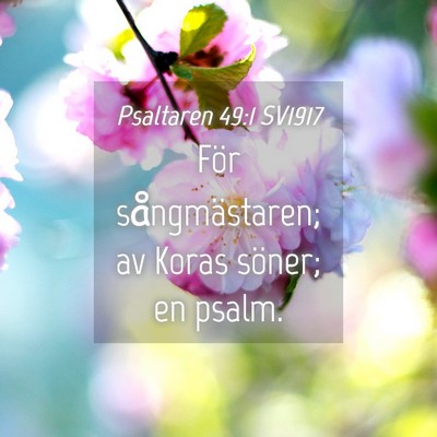 Picture 04 - Psaltaren 49:1 SV1917 - För sångmästaren; av Koras söner; en - Bible Verse Picture