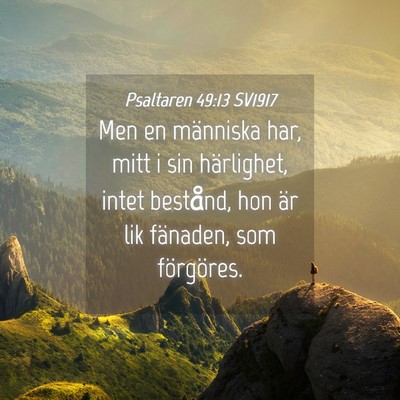 Picture 04 - Psaltaren 49:13 SV1917 - Men en människa har, mitt i sin härlighet, - Bible Verse Picture