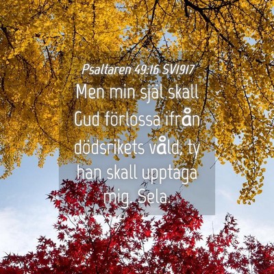 Picture 04 - Psaltaren 49:16 SV1917 - Men min själ skall Gud förlossa ifrån - Bible Verse Picture