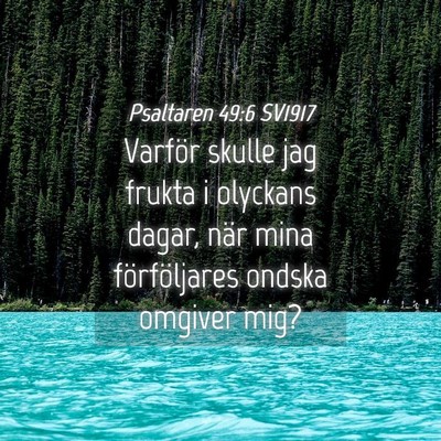 Picture 04 - Psaltaren 49:6 SV1917 - Varför skulle jag frukta i olyckans dagar, när - Bible Verse Picture