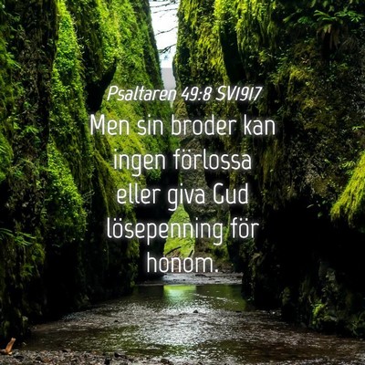 Picture 04 - Psaltaren 49:8 SV1917 - Men sin broder kan ingen förlossa eller giva Gud - Bible Verse Picture