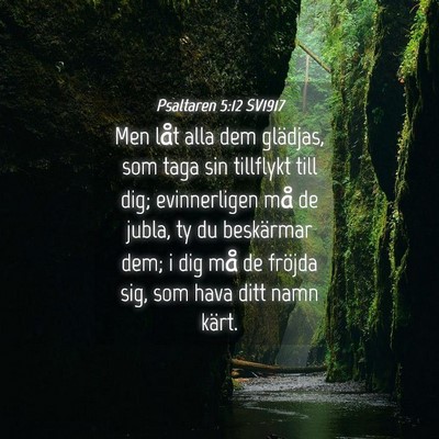 Picture 04 - Psaltaren 5:12 SV1917 - Men låt alla dem glädjas, som taga sin - Bible Verse Picture