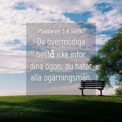 Picture 04 - Psaltaren 5:6 SV1917 - De övermodiga bestå icke inför dina ögon; du - Bible Verse Picture