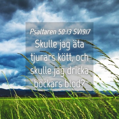 Picture 04 - Psaltaren 50:13 SV1917 - Skulle jag äta tjurars kött, och skulle jag - Bible Verse Picture