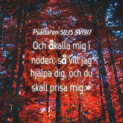 Picture 04 - Psaltaren 50:15 SV1917 - Och åkalla mig i nöden, så vill jag hjälpa - Bible Verse Picture