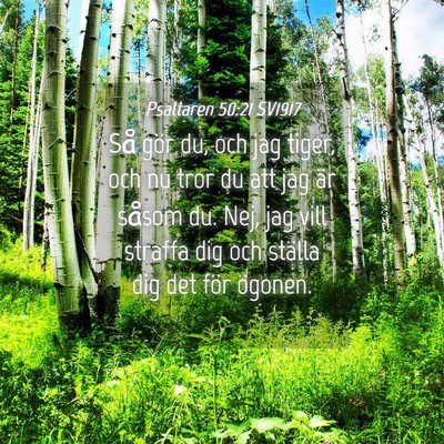 Picture 04 - Psaltaren 50:21 SV1917 - Så gör du, och jag tiger, och nu tror du att - Bible Verse Picture