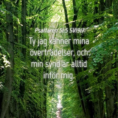Picture 04 - Psaltaren 51:5 SV1917 - Ty jag känner mina överträdelser, och min synd - Bible Verse Picture