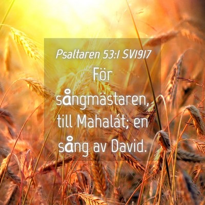 Picture 04 - Psaltaren 53:1 SV1917 - För sångmästaren, till Mahalát; en sång av - Bible Verse Picture