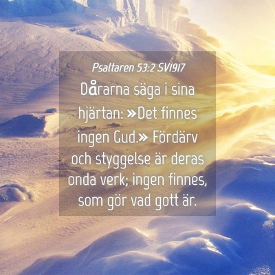 Picture 04 - Psaltaren 53:2 SV1917 - Dårarna säga i sina hjärtan: »Det finnes - Bible Verse Picture