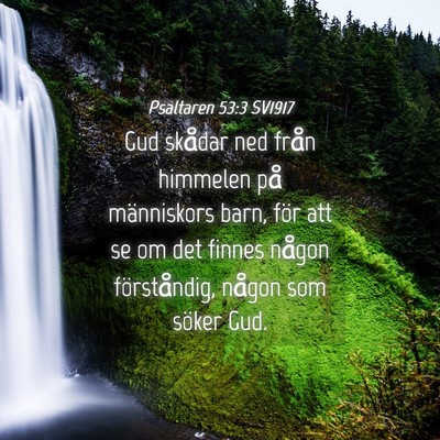 Picture 04 - Psaltaren 53:3 SV1917 - Gud skådar ned från himmelen på människors - Bible Verse Picture