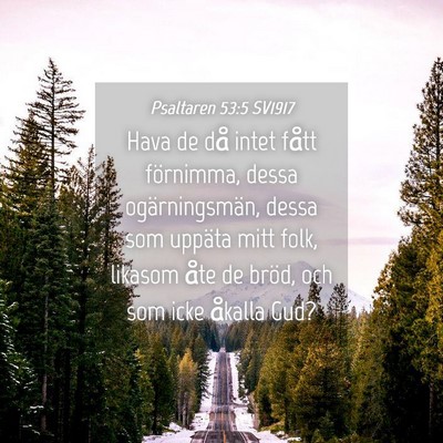Picture 04 - Psaltaren 53:5 SV1917 - Hava de då intet fått förnimma, dessa - Bible Verse Picture