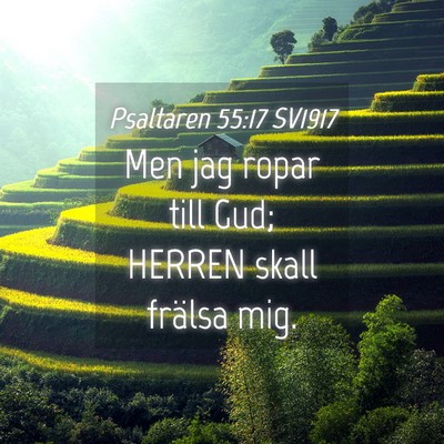 Picture 04 - Psaltaren 55:17 SV1917 - Men jag ropar till Gud; HERREN skall frälsa - Bible Verse Picture