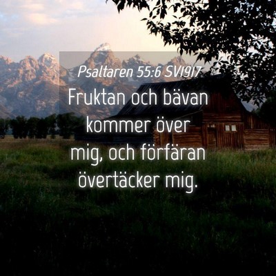 Picture 04 - Psaltaren 55:6 SV1917 - Fruktan och bävan kommer över mig, och - Bible Verse Picture