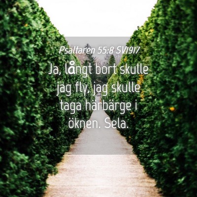 Picture 04 - Psaltaren 55:8 SV1917 - Ja, långt bort skulle jag fly, jag skulle taga - Bible Verse Picture