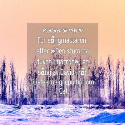 Picture 04 - Psaltaren 56:1 SV1917 - För sångmästaren, efter »Den stumma duvan i - Bible Verse Picture