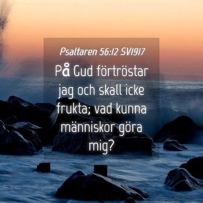Picture 04 - Psaltaren 56:12 SV1917 - På Gud förtröstar jag och skall icke frukta; - Bible Verse Picture