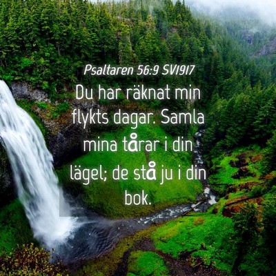Picture 04 - Psaltaren 56:9 SV1917 - Du har räknat min flykts dagar. Samla mina - Bible Verse Picture